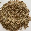 Ajwain dried seeds