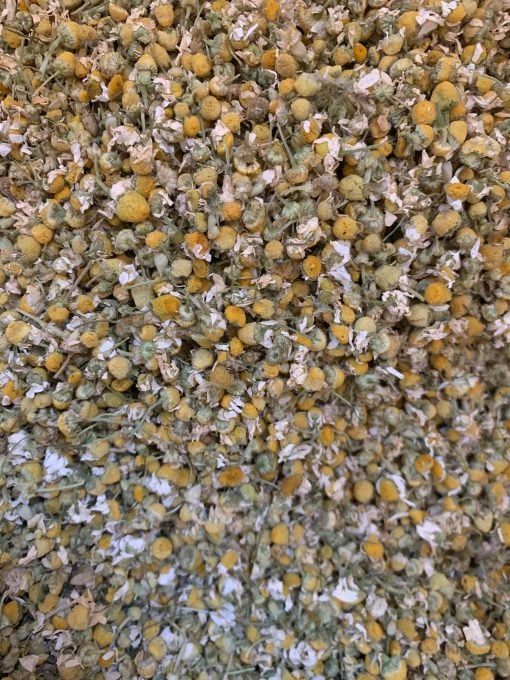 Chamomile dried herb flowers