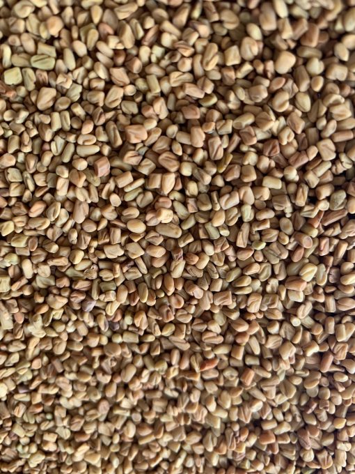 Fenugreek seeds