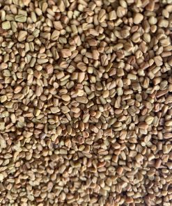 Fenugreek seeds