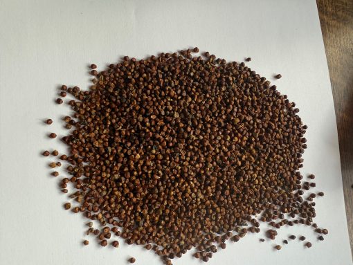 GrainsOfParadise