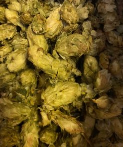 Hops dried