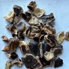 Carob pods split
