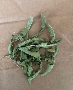 Lemon Verbena leaves dried