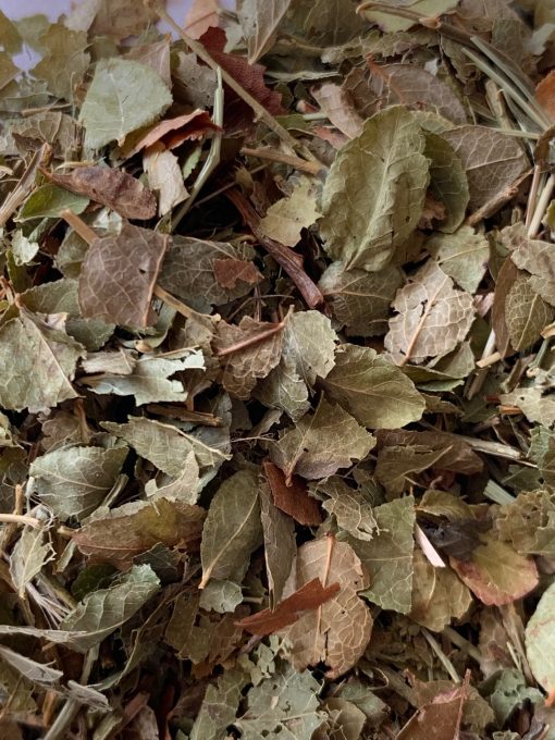 Billberry dried herb