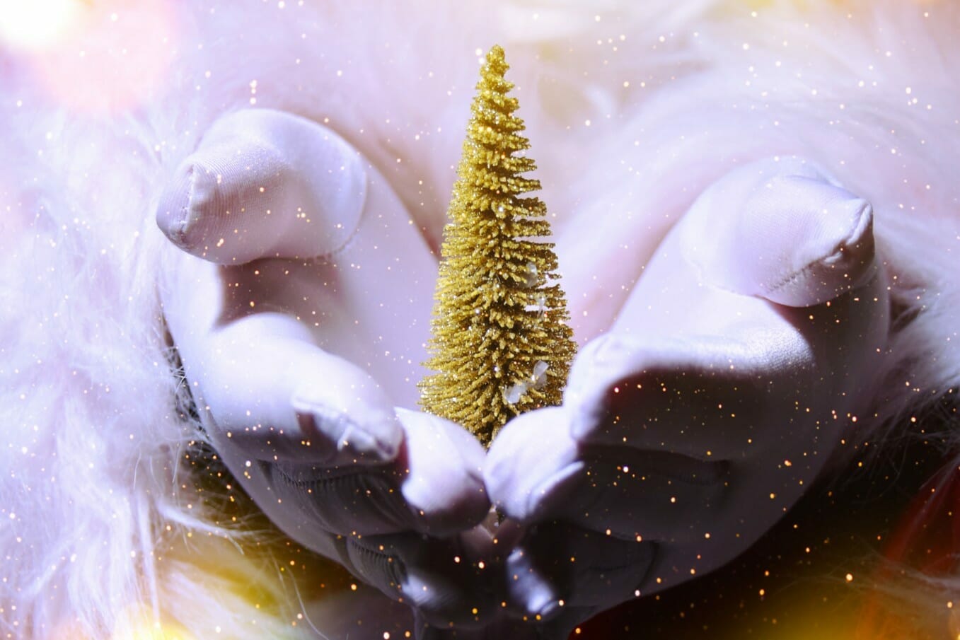 The Spiceworks Seasonal Offers - The Spiceworks