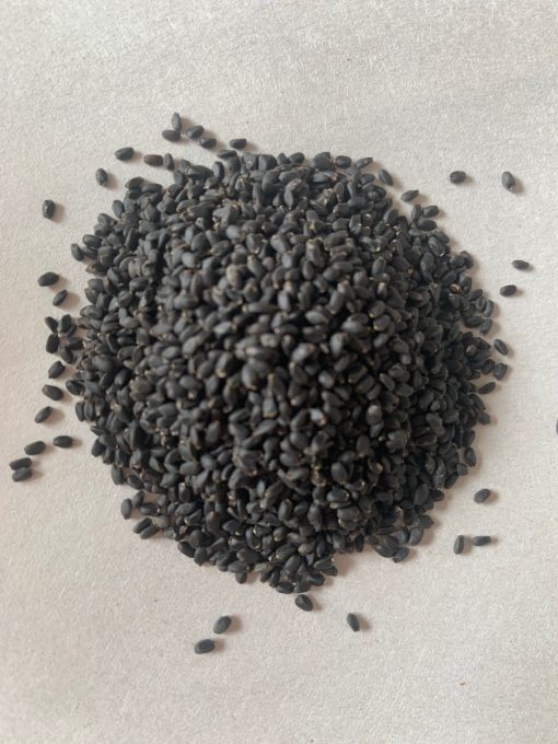 Basil seeds