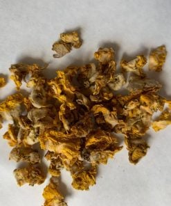 Mullein dried flowers