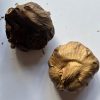 Black Garlic whole bulb