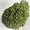 Barley Grass Powder Organic