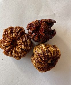 Scotch Bonnet chillies whole dried