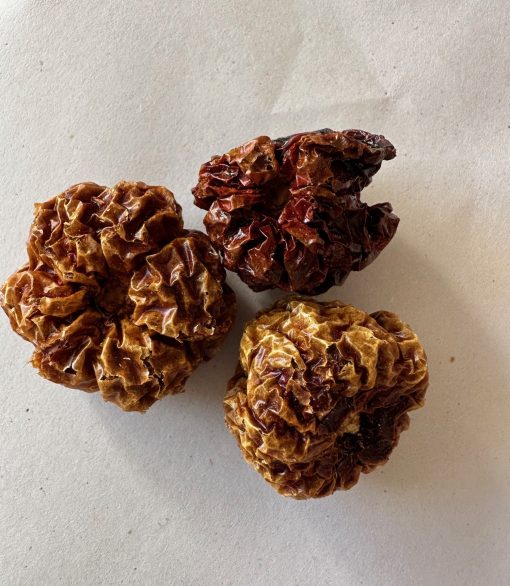 Scotch Bonnet chillies whole dried