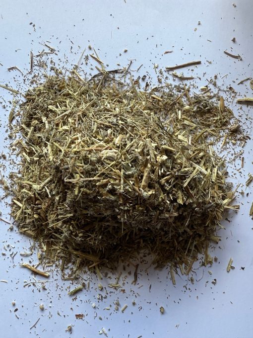Wormwood dried herb