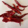 Teja dried indian chilli pods