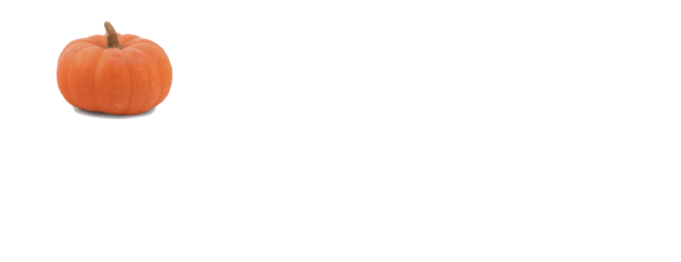 The Spiceworks | Online Wholesale Dried Herbs And Spices