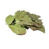 Bay leaf leaves dried whole