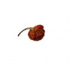 Carolina Reaper dried chilli whole peppers