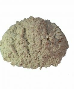 Garlic dried ground powder