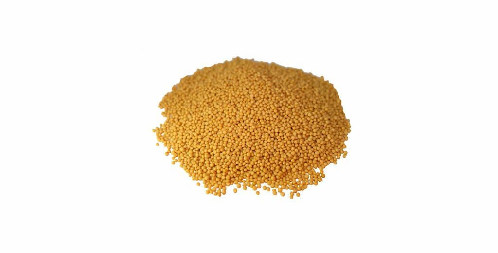 The Mustard Seeds ☆III sen-mosterdzaad-heel-zwart-