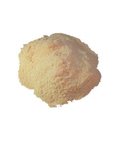 Onion dried ground powder
