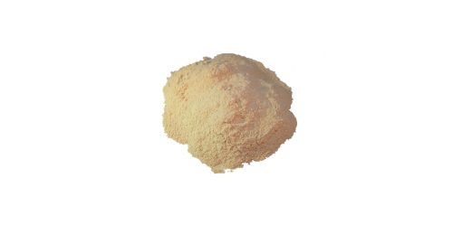 Onion dried ground powder
