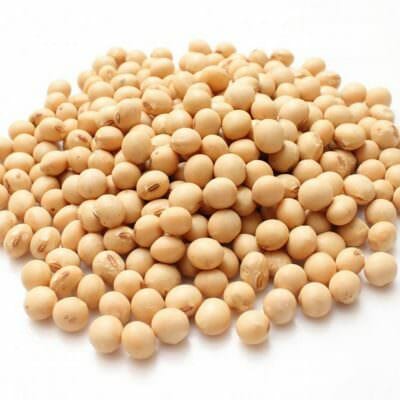 Soy beans The Spiceworks